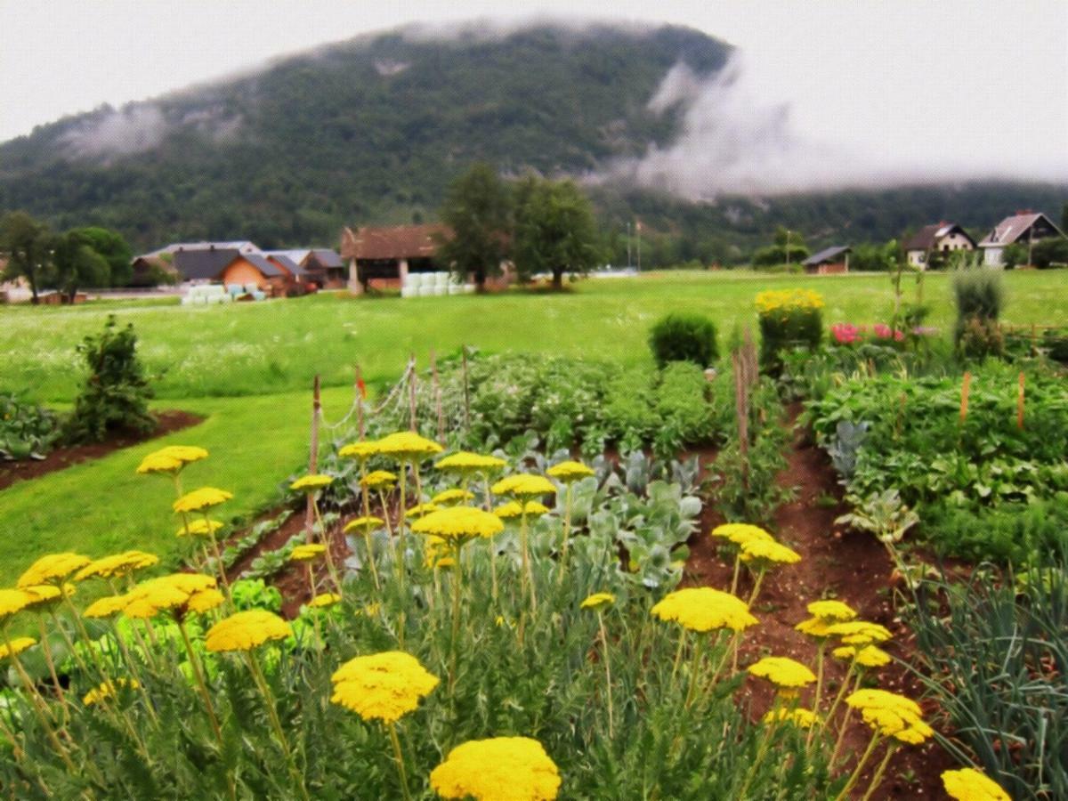 Casa Bohinj Lejlighed Eksteriør billede