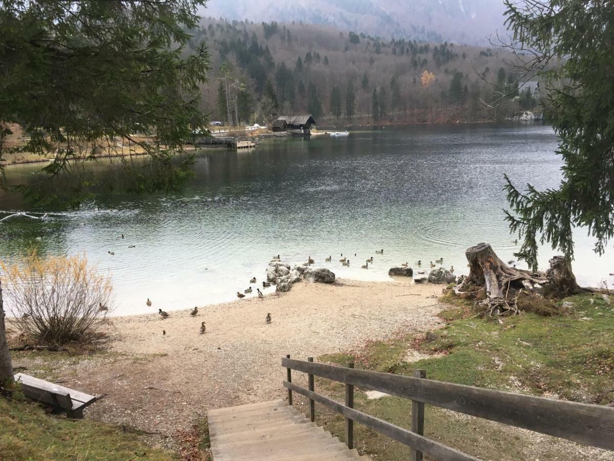 Casa Bohinj Lejlighed Eksteriør billede