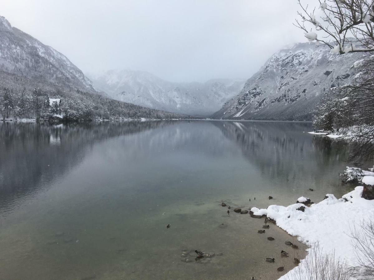 Casa Bohinj Lejlighed Eksteriør billede